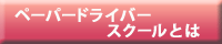 ペーパードライバースクールとはへ